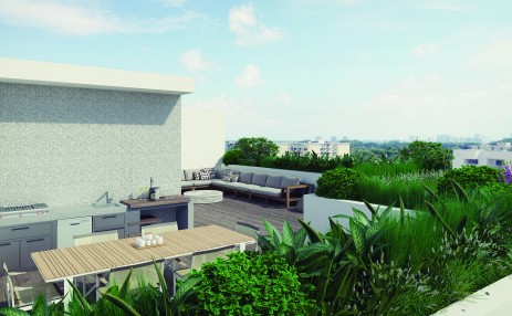 Roof Top Terrace
